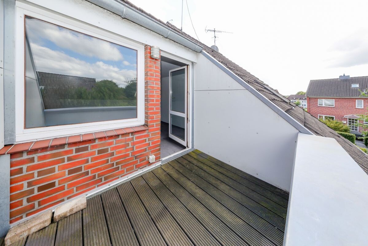 Dachloggia Dachloggia