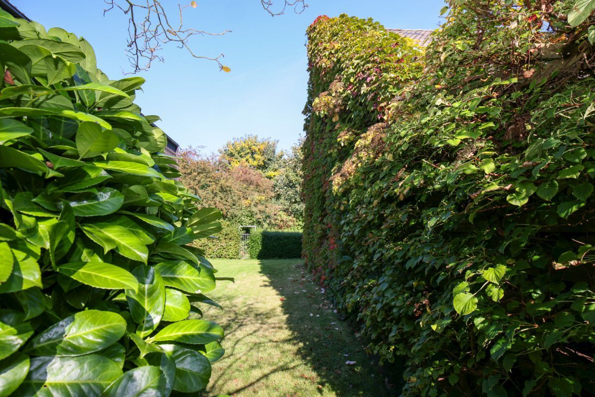 Garten Garten