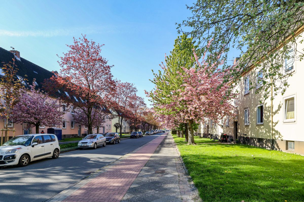 Straßenseite Straßenseite