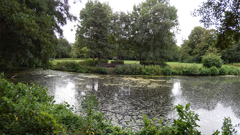 Altengroden - Wilhelmshaven, Park am Altengrodener Weg web